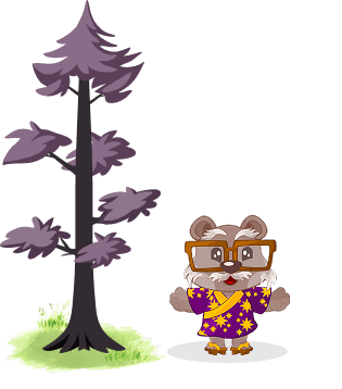 Cedar at Mountain Peak