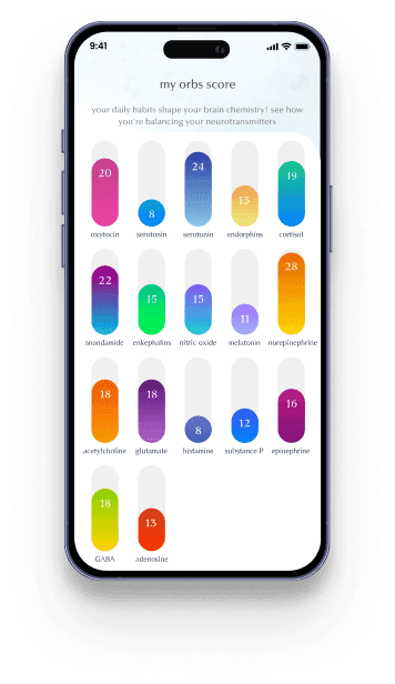 App preview on phone